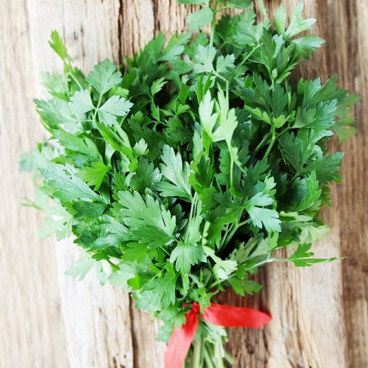 Parsley Bloomin Bin parsley-bloomin-bin
