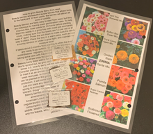 Load image into Gallery viewer, Summer Seed Bundle