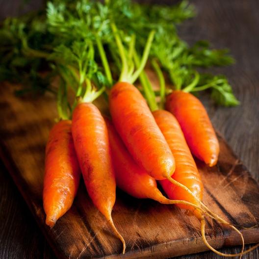 Carrots and Parsnips