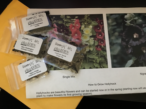 Spring Seed Bundle