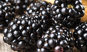 Blackberry Seeds