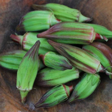 Load image into Gallery viewer, Hill Country Red Okra